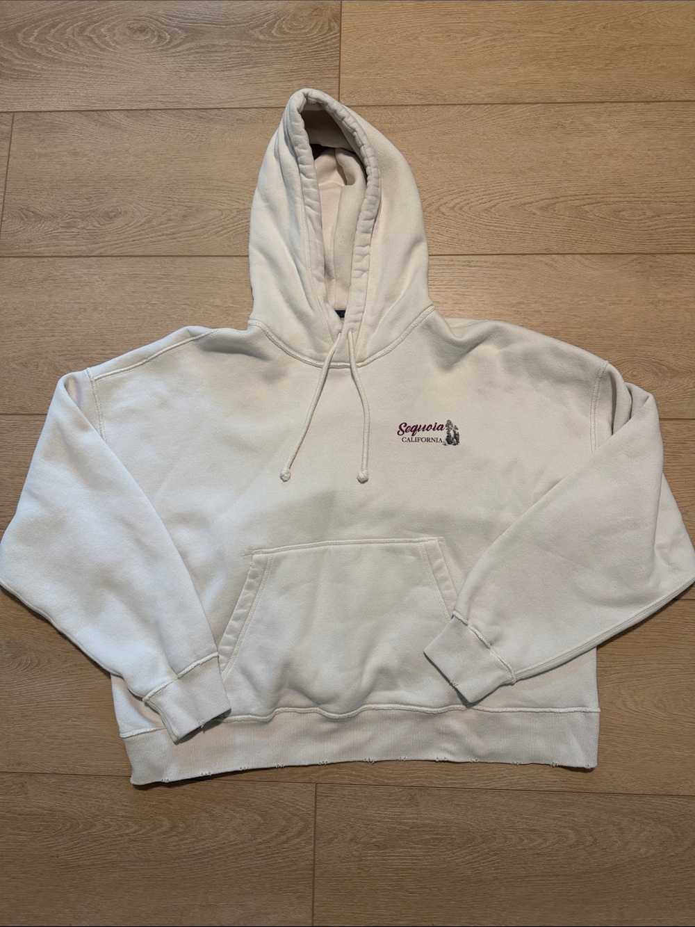 Abercrombie Graphic Hoodie